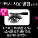 래쉬핏(Lash Fit)