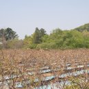 모현농장 이미지