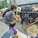 명암목장 이미지