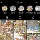 졸리쥬드 이미지