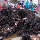 해동수산회센터 이미지