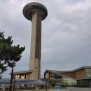 나래애견 이미지