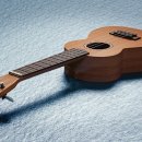 딩가딩가 우쿨렐레 이미지