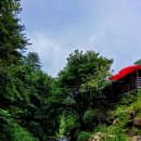 왕방폭포수농원 이미지