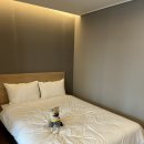 소유 by 해운대 이미지