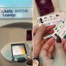 대영마트 | 🇬🇧London(4), 🇫🇷Paris (1) | 영국대영박물관, 9와 3/4 승강장, 유로스타(런던➡️파리), 에펠탑