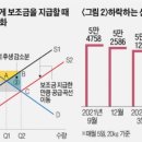 '보조금'이 낳은 시장 왜곡 이미지