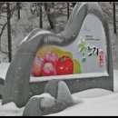 상옥프로폴리스 이미지