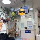 미즈프라자