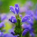 김규태 농장 이미지