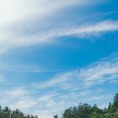 아비앙또 이미지