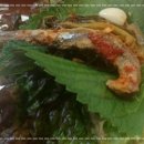 장군멸치회촌 이미지