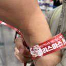 빵이가 | 서울 SETEC 학여울역 | 반려인이라면 한 번쯤 가볼 만한 크리스마스 서울 펫쇼 현장 방문 후기