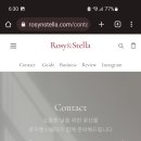앤스텔라