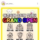 애견카페 애견유치원 펫레터 이미지