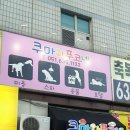 쿠마와푸코네 이미지