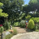 개멍물멍 이미지