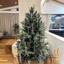 pet55더2666 | 마곡미용실 뿌리염색 기록 | 새해맞이 푸석한 머릿결, 차홍룸 마곡점에서 관리한 날🫧