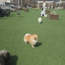 아로하스토리 이미지