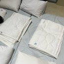 RG 풀빌라 펜션 | [경주펜션] 투안이네 남해여행_2 경주RG풀빌라_감포해수욕장,불국사,동궁과월지,첨성대(경주풀코스)
