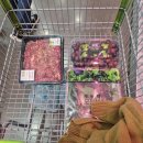 이마트 트레이더스 월계점 장보기 할인쿠폰 가족회원