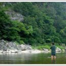 소나무여울공원 이미지