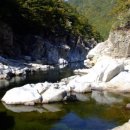 오늘은장어 이미지