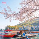 남해해상랜드 이미지