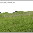 누암리 고분군 이미지