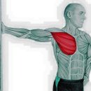 천무태권도 이미지