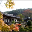 군자산책