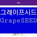 그레이프유치원 이미지