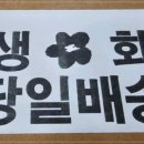 오늘, 꽃데이 이미지