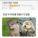해달