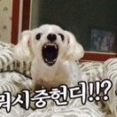 바앤텐더학원