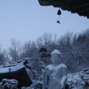 평사(여) 이미지