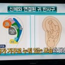 귀 혈자리에 맞는 30초 귀 건강법 이미지