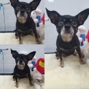 강동로-53 이미지