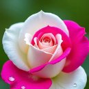 8월 26일 화요일 간추린 뉴스와 날씨 이미지