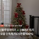 블루밍데이즈 이미지