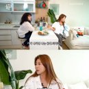 가비포차 이미지