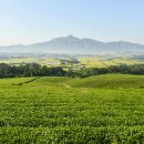 호서목장 이미지