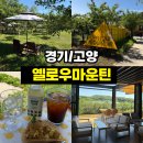 대주농장 | <경기/고양> 고양 카페 옐로우마운틴 메뉴, 주차, 노키즈존 이용 정보 솔직후기 (배밭 야외 테라스)