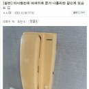 이사왔는데 아파트에 몬가 나폴리탄 같은게 있음 이미지