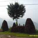 영춘초등학교 이미지