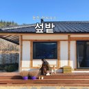 섶밭 | 울진 독채펜션 섶밭, 울진후포항펜션 한옥숙소 감성숙소 독채숙소 자쿠지숙소 후기