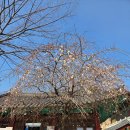 한송정 화장실 이미지