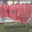 갤러리아A | 한화이글스 꿈순이 유니폼 꿈니폼 천안 갤러리아 팝업 방문 후기