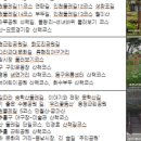 만석어린이공원 이미지