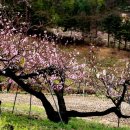 오향2리 이미지